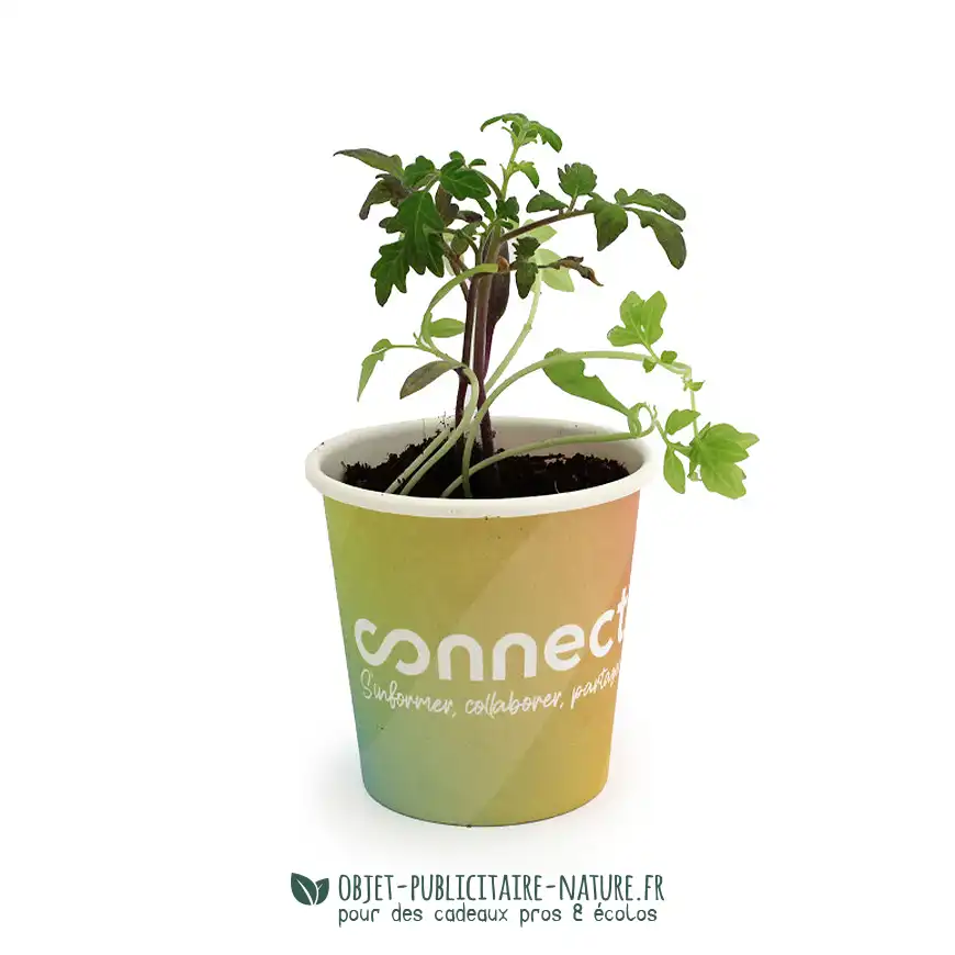 Kit de plantation publicitaire pot en carton à personnaliser