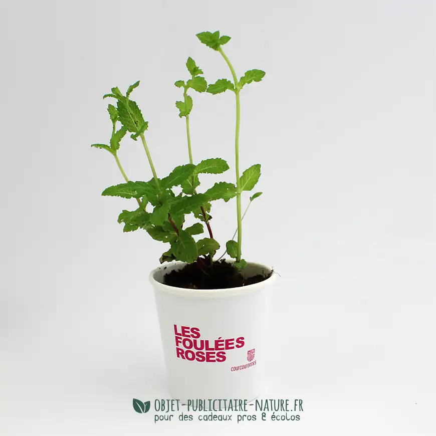 Kit de plantation publicitaire pot en carton à personnaliser