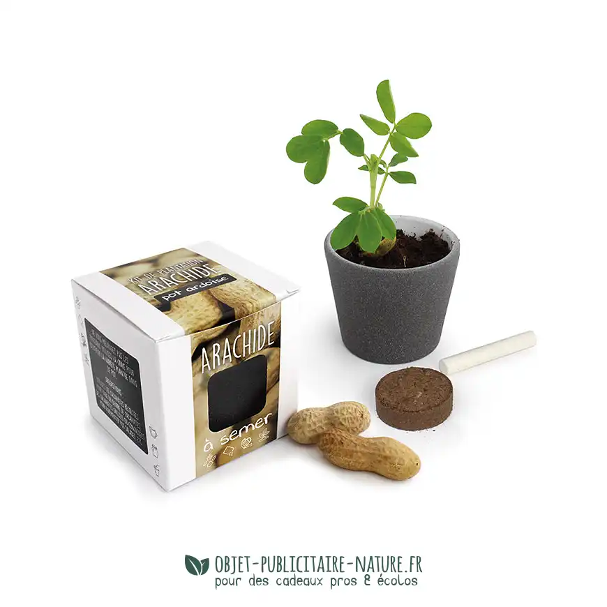 Kit de plantation publicitaire dans pot ardoise avec graine d'arachide