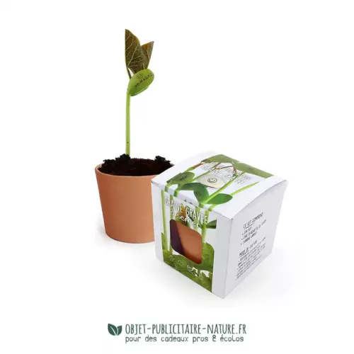 Kit de plantation publicitaire pot terre cuite ou céramique avec graines gravée