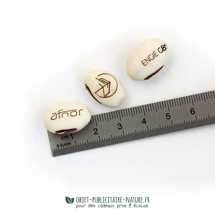 Kit de plantation publicitaire à personnaliser pot terre cuite ou céramique avec graines gravé