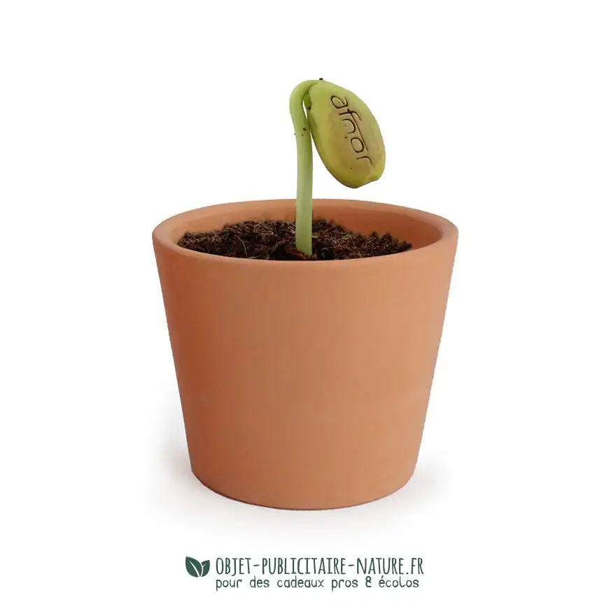 Kit de plantation publicitaire à personnaliser pot terre cuite ou céramique avec graines gravé