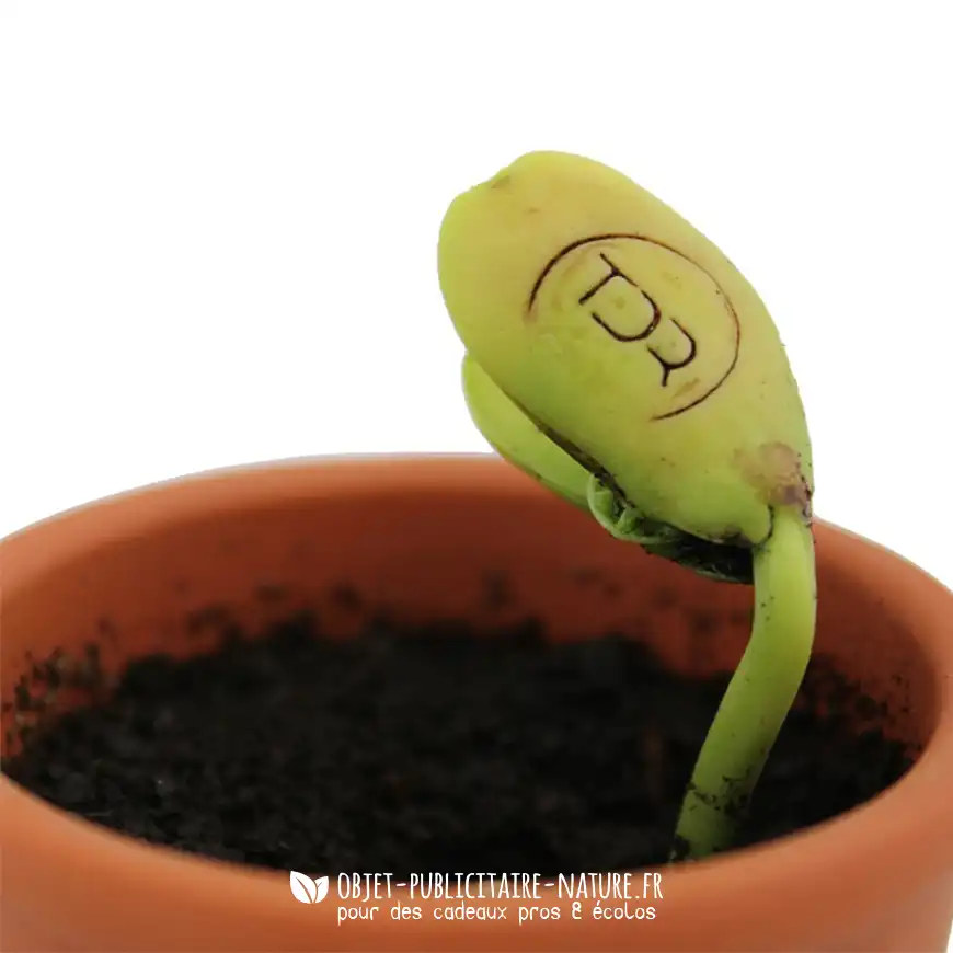 Kit de plantation publicitaire personnalisable pot terre cuite ou céramique avec graines gravé