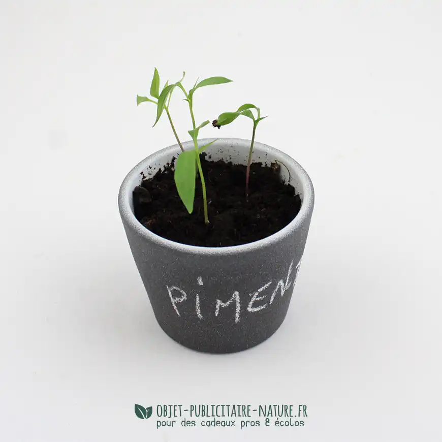 Kit de plantation publicitaire dans pot ardoise avec graine de piment à personnaliser