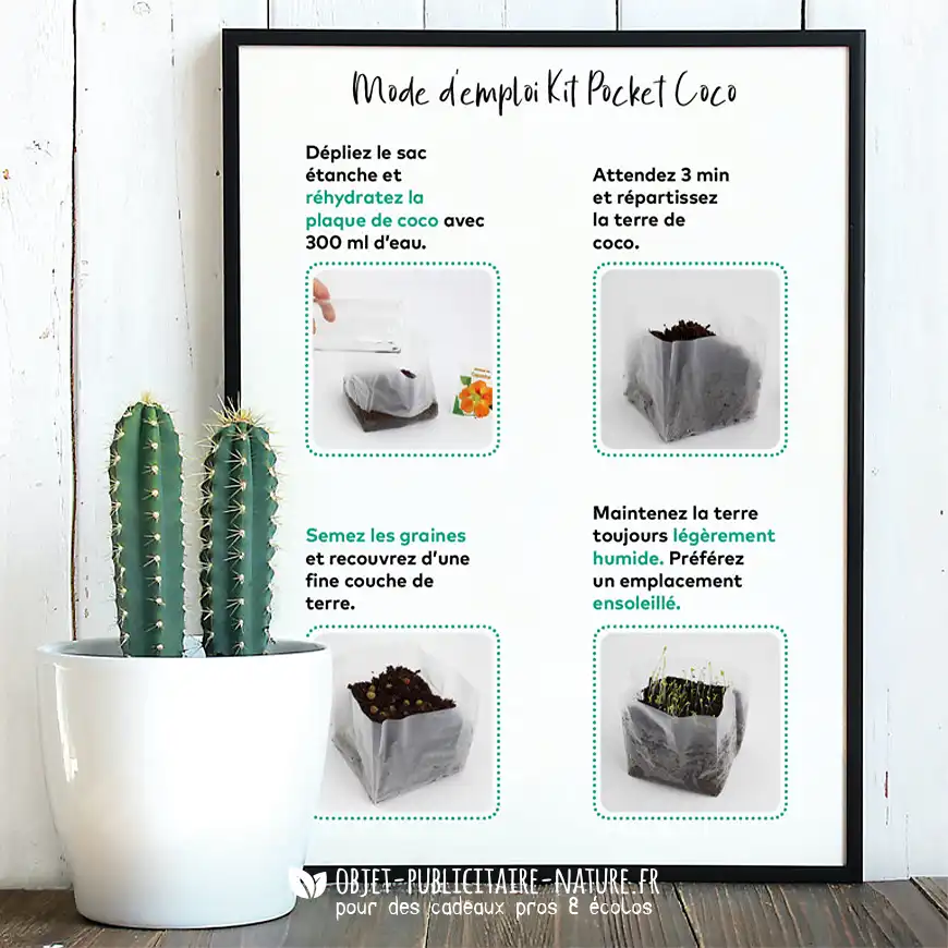 Kit de plantation publicitaire de poche avec plaquette de coco déshydratée à personnaliser