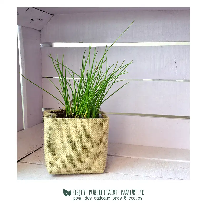 Kit de plantation de poche publicitaire avec plaquette de coco déshydratée et toile de jute personnalisable