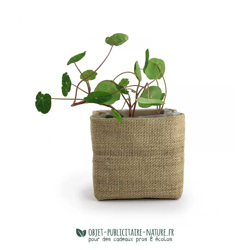 Kit de plantation de poche publicitaire avec plaquette de coco déshydratée et toile de jute à personnaliser