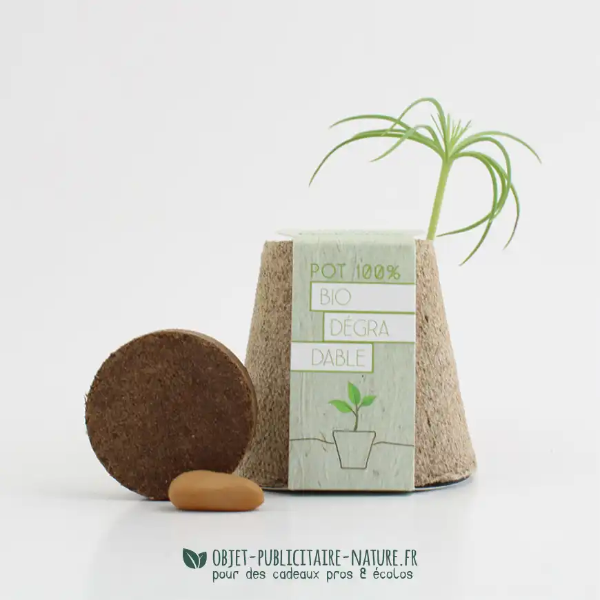 Kit de plantation publicitaire pot en cellulose personnalisable