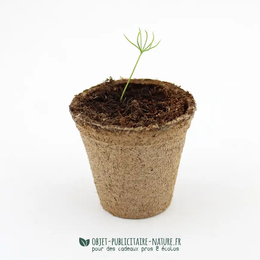Kit de plantation publicitaire pot en cellulose à personnaliser