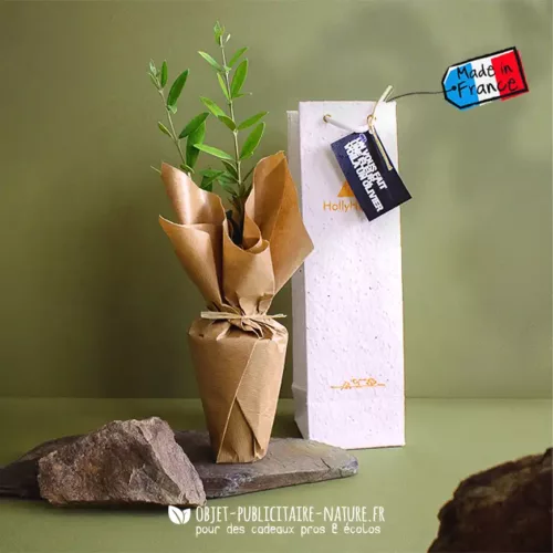Plant d'arbre dans son sac en papier ensemencé à personnaliser