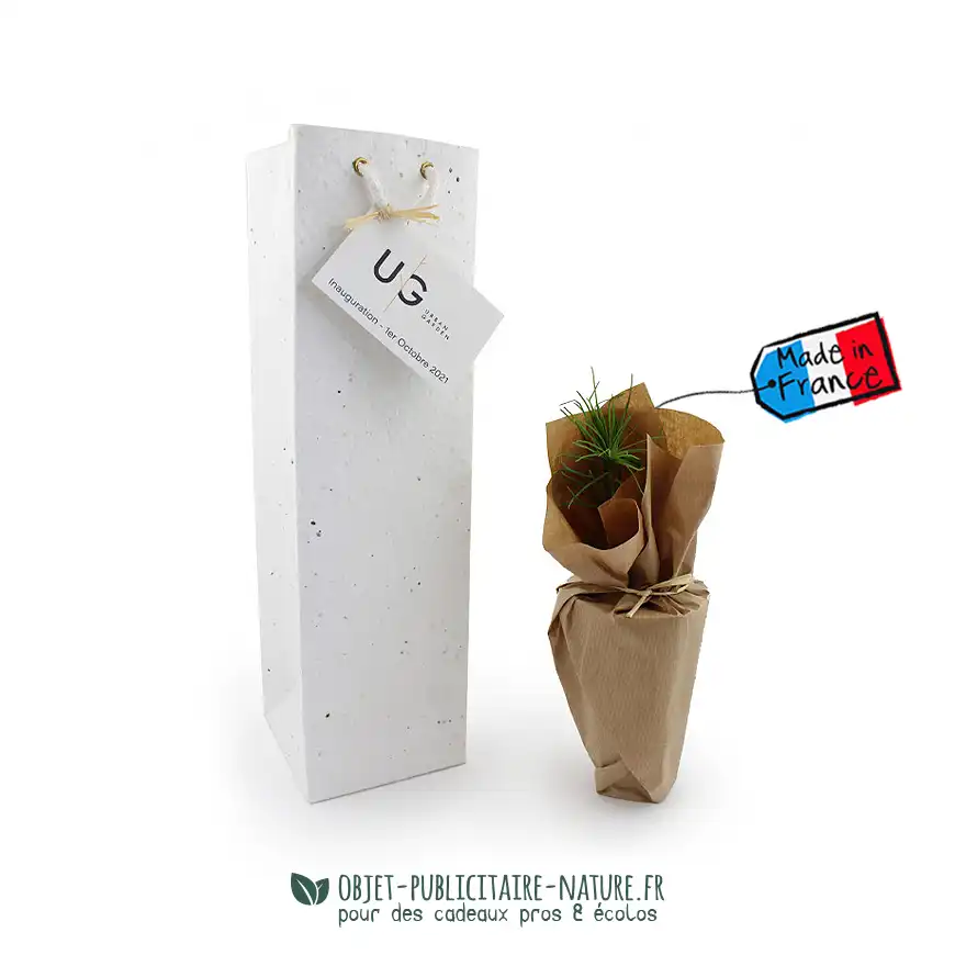 Plant d'arbre dans son sac en papier ensemencé à personnaliser
