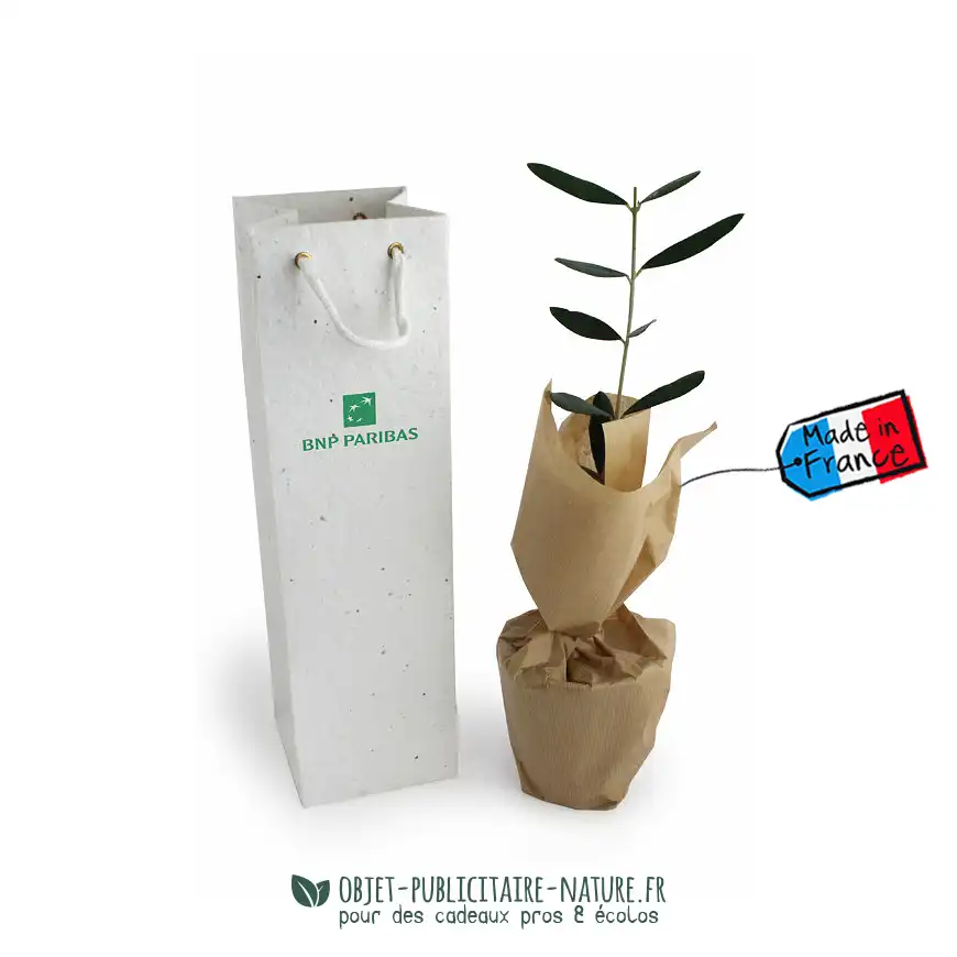 Plant d'arbre dans son sac en papier ensemencé personnalisable