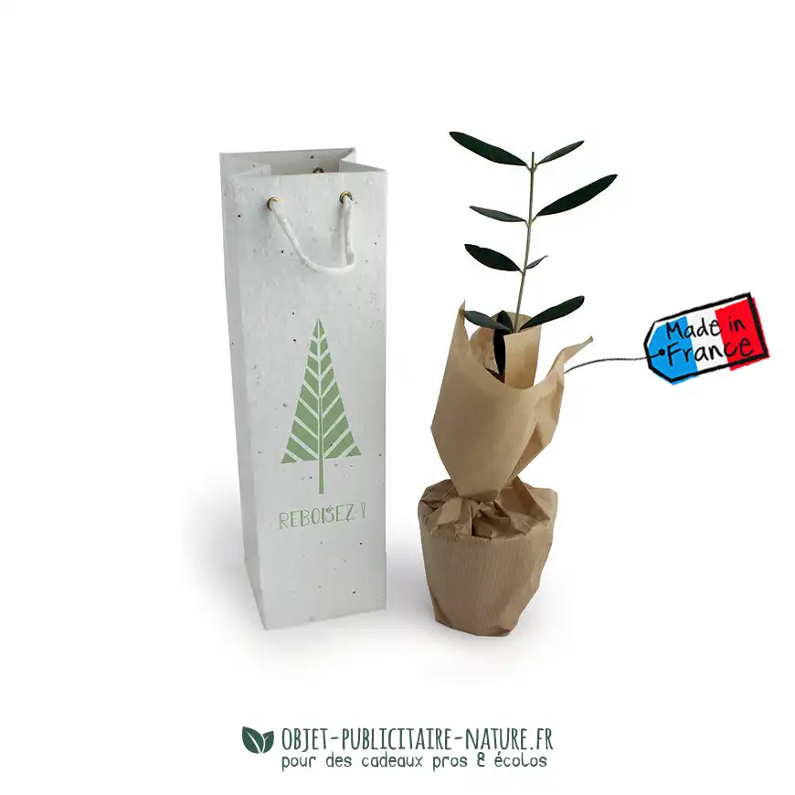 Plant d'arbre dans son sac en papier ensemencé personnalisable