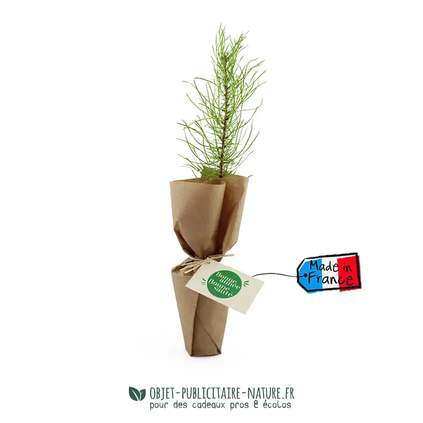 Arbre dans pot en cellulose diamètre 8cm personnalisable