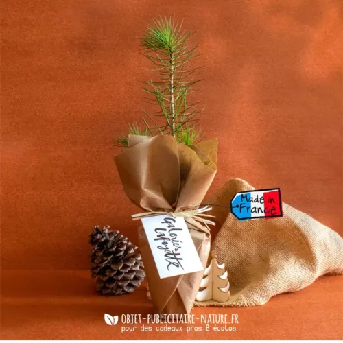 Arbre dans pot en cellulose diamètre 8cm à personnaliser