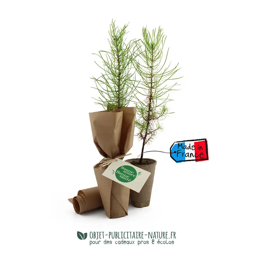 Arbre dans pot en cellulose diamètre 8cm personnalisable