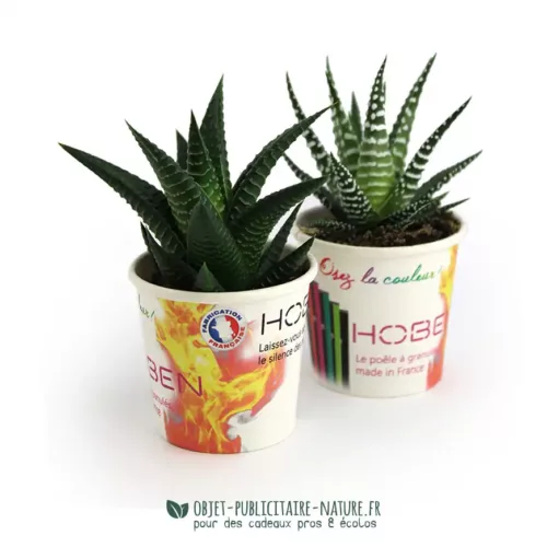 Plante dans petit pot en carton publicitaire à personnaliser