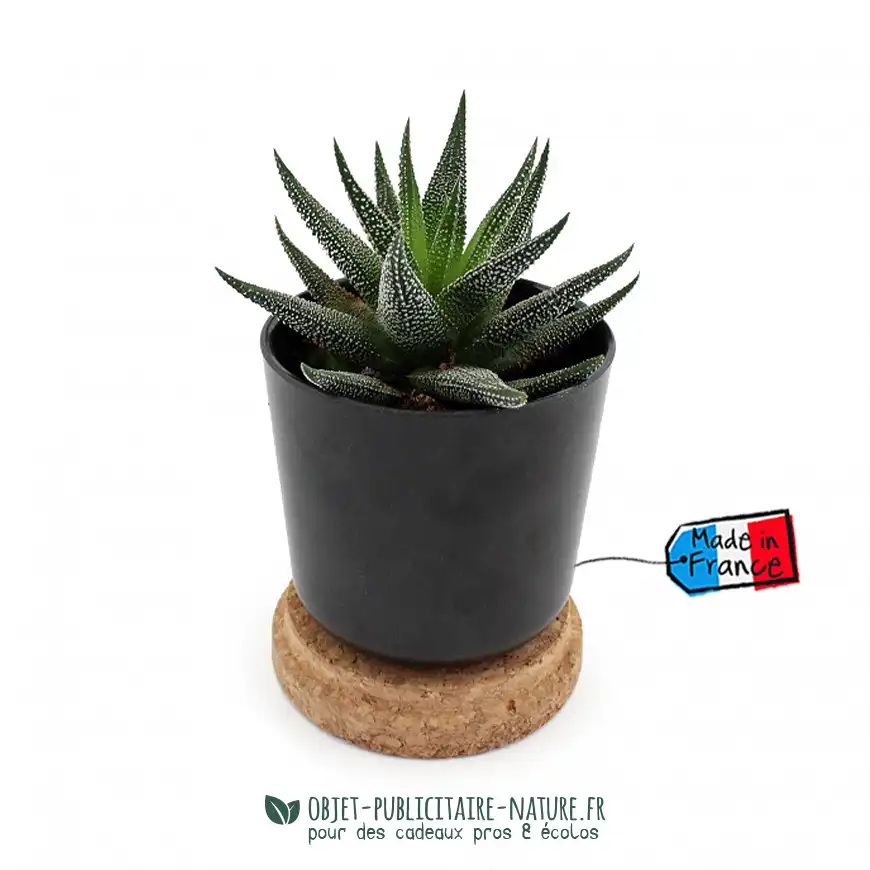 Plante dans pot en bambou publicitaire avec couvercle en liège personnalisable