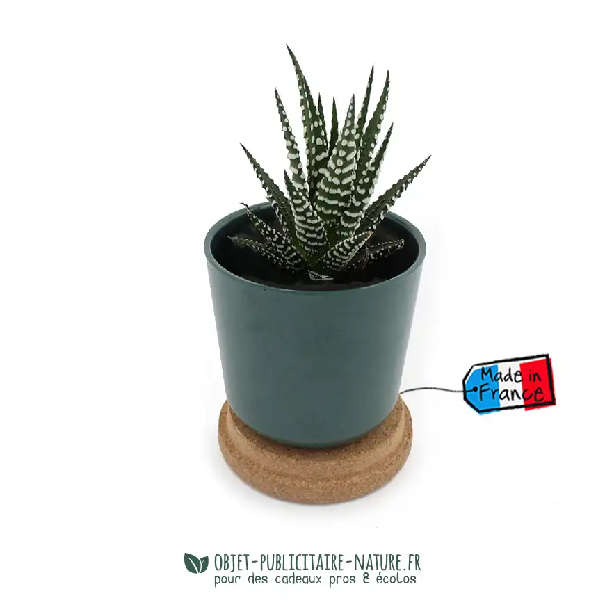 Plante dans pot en bambou publicitaire avec couvercle en liège personnalisé