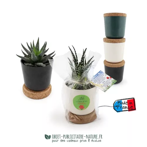 Plante dans pot en bambou publicitaire avec couvercle en liège à personnaliser