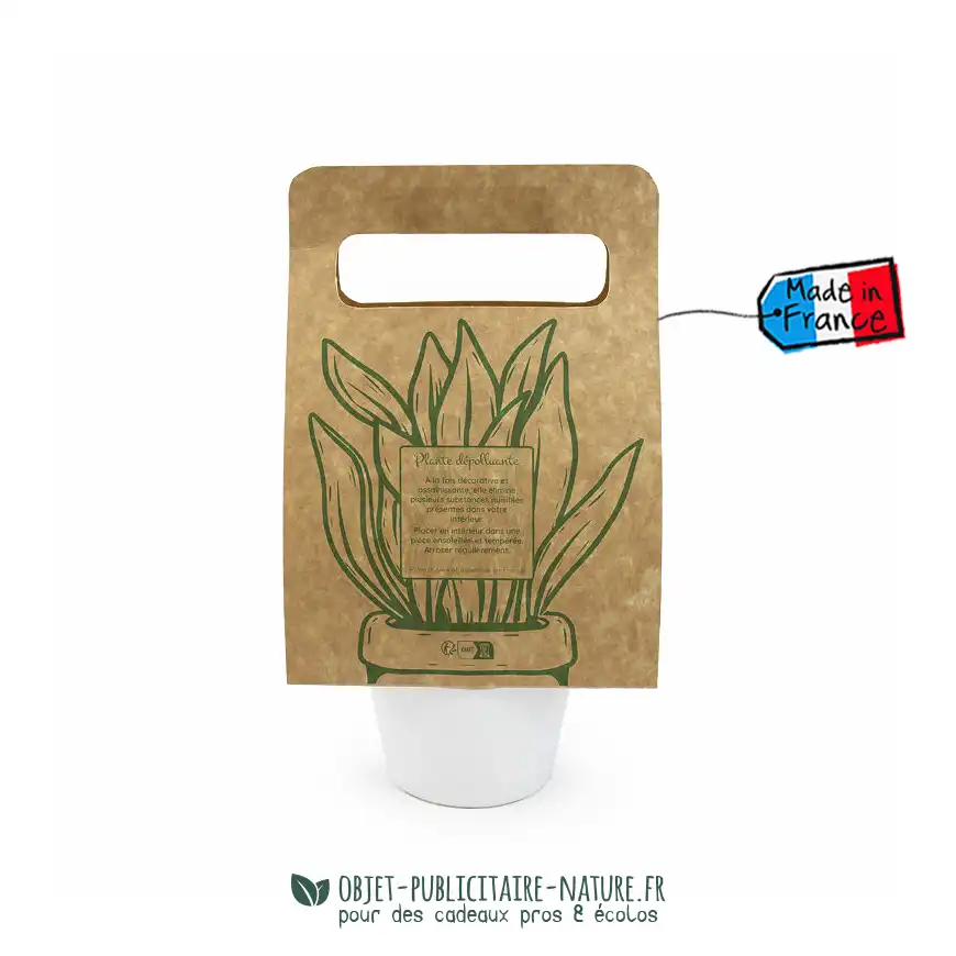 Plante dans pot en céramique publicitaire avec poignée kraft personnalisée