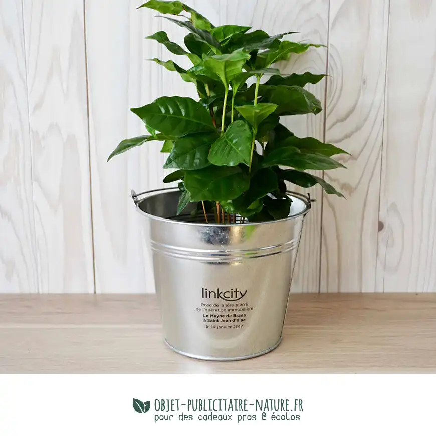 Grande plante décorative publicitaire dans pot en zinc personnalisable