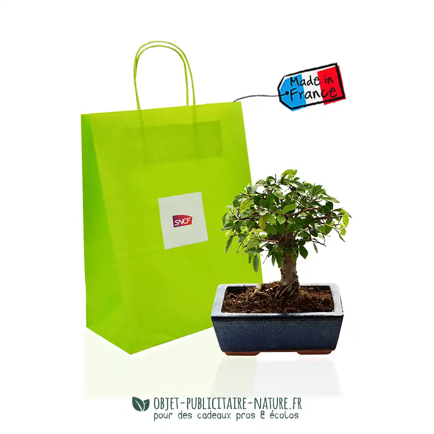 Bonsaï torsadé pot en terre émaillée dans sac kraft personnalisé