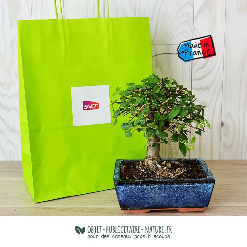 Bonsaï torsadé pot en terre émaillée dans sac kraft personnalisable