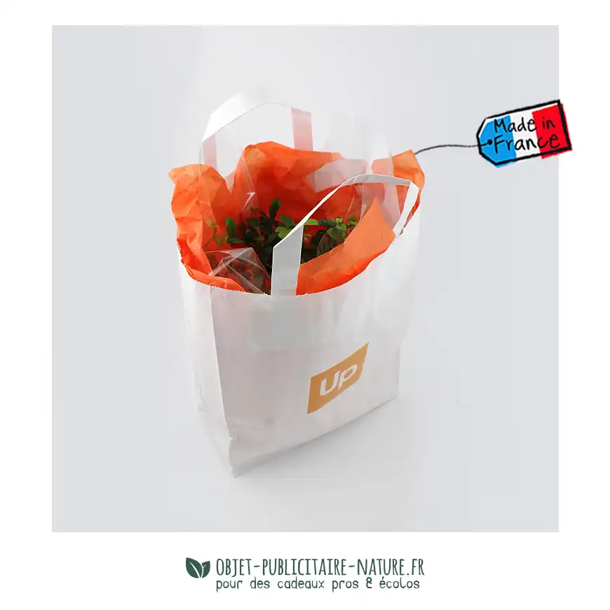 Bonsaï torsadé pot en terre émaillée dans sac kraft personnalisable