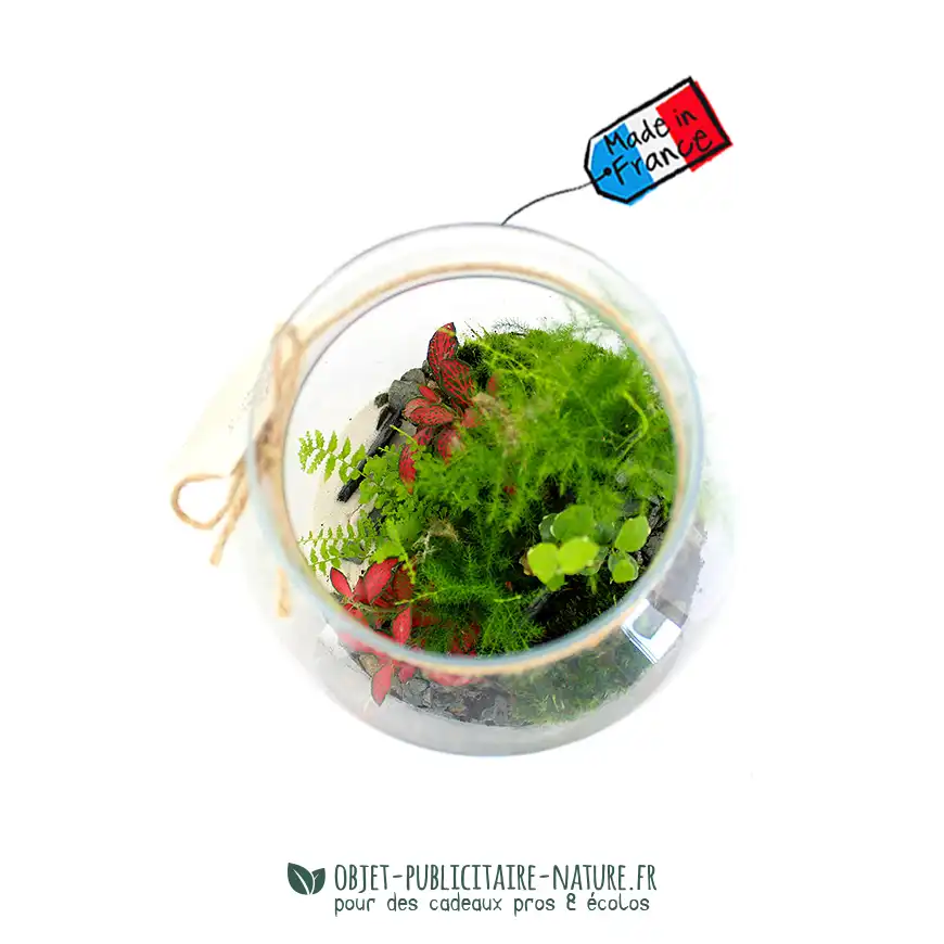 Terrarium publicitaire modèle confort personnalisé