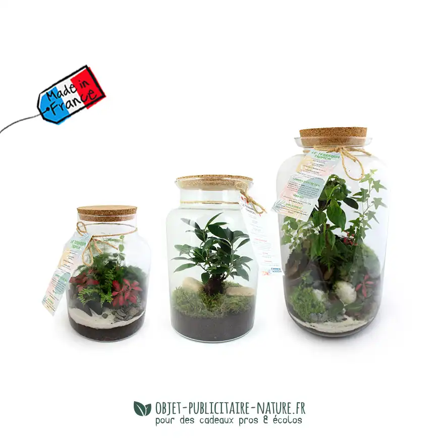Terrarium publicitaire modèle confort personnalisable
