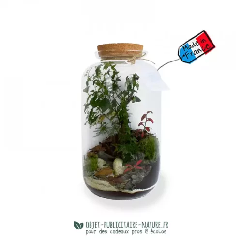 Terrarium publicitaire modèle luxe à personnaliser