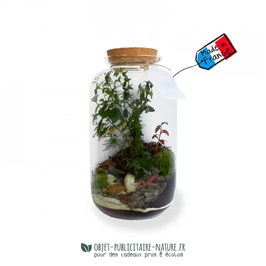 Terrarium publicitaire modèle luxe à personnaliser