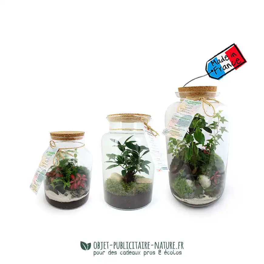 Terrarium publicitaire modèle luxe personnalisable