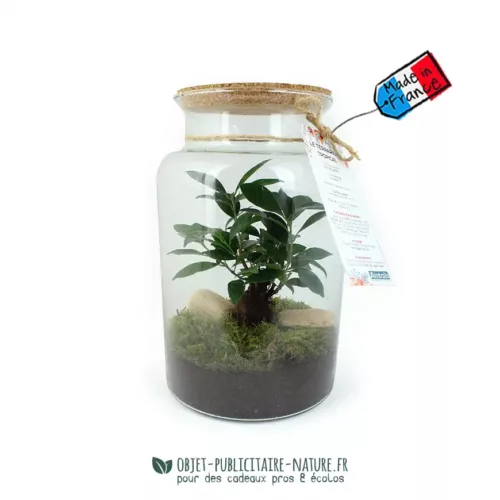 Terrarium publicitaire modèle grand à personnaliser