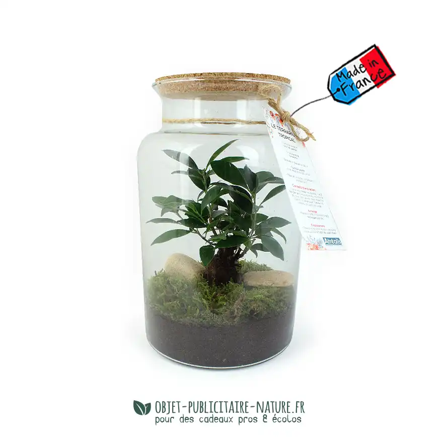 Terrarium publicitaire modèle grand à personnaliser