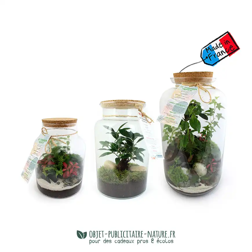 Terrarium publicitaire modèle grand personnalisable